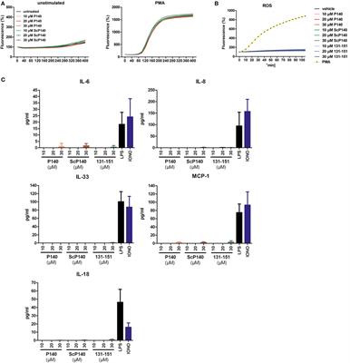 Capability of neutrophils to form NETs is not directly influenced by a CMA-targeting peptide